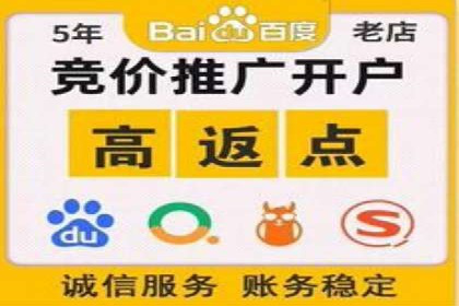 百度推广开户成功案例深度剖析